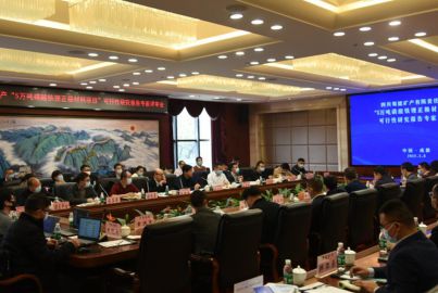尊龙中国官网矿产召开&ldquo;正极材料项目&rdquo;可行性研究报告专家评审会
